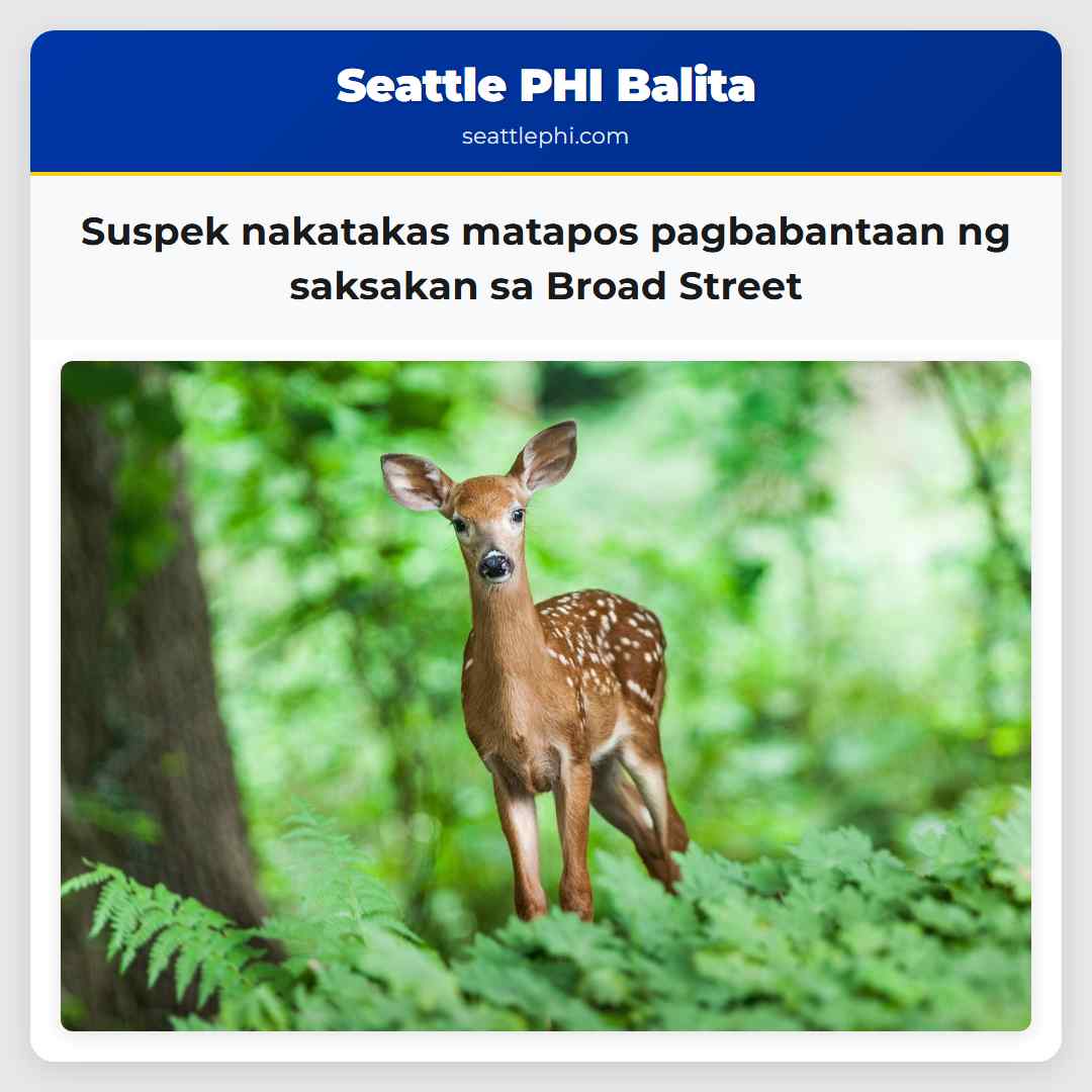 Suspek nakatakas matapos pagbabantaan ng saksakan sa Broad Street