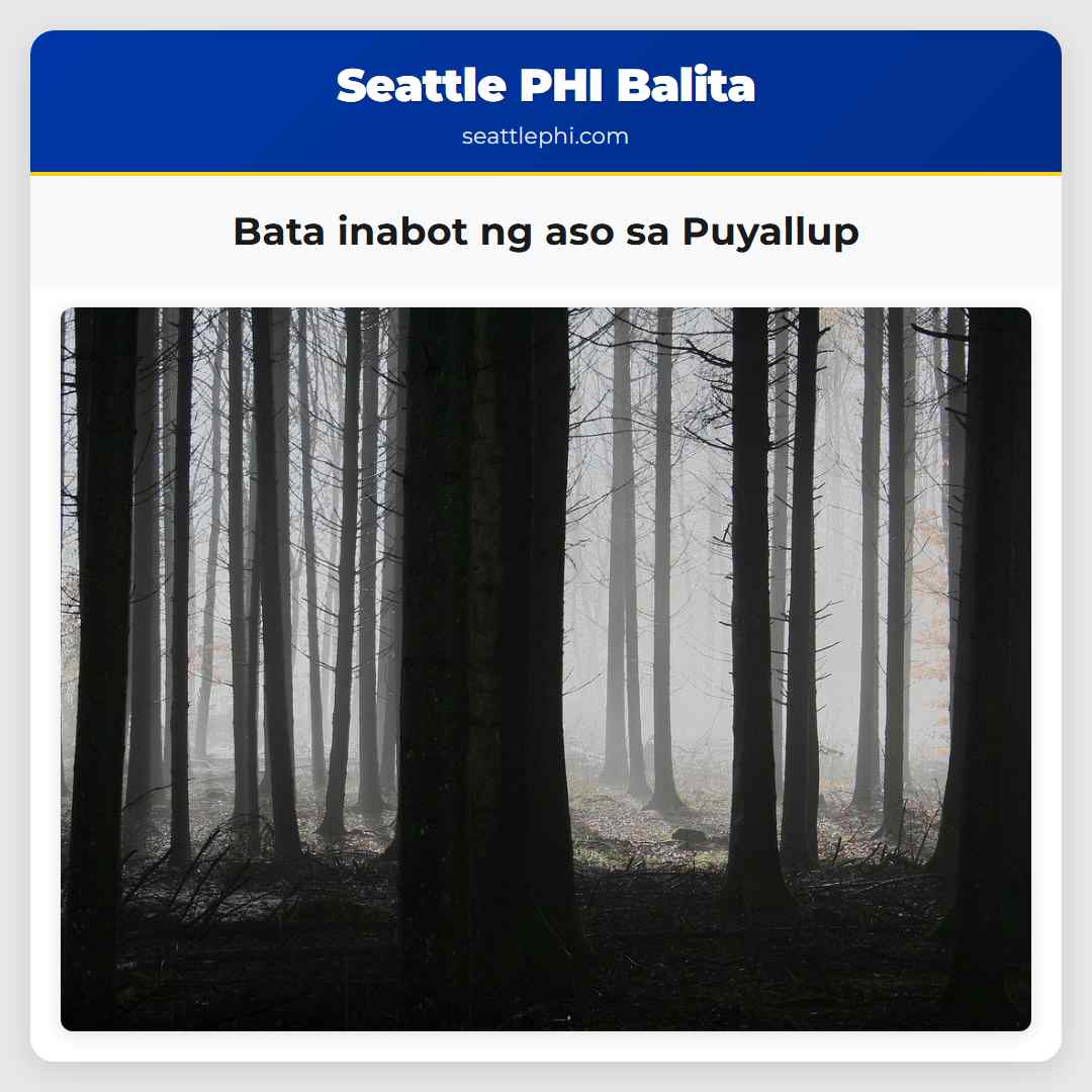 Bata inabot ng aso sa Puyallup