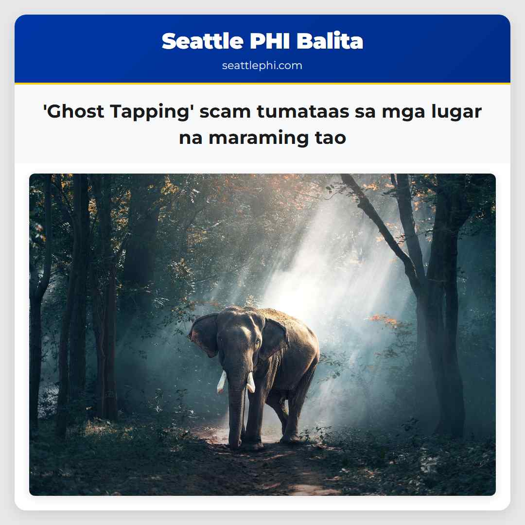 Ghost Tapping scam tumataas sa mga lugar na maraming tao