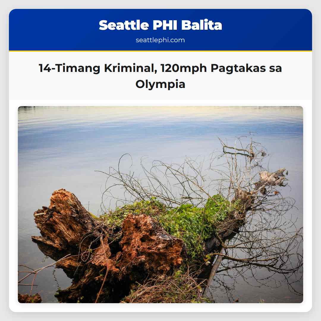 14-Timang Kriminal, 120mph Pagtakas sa Olympia