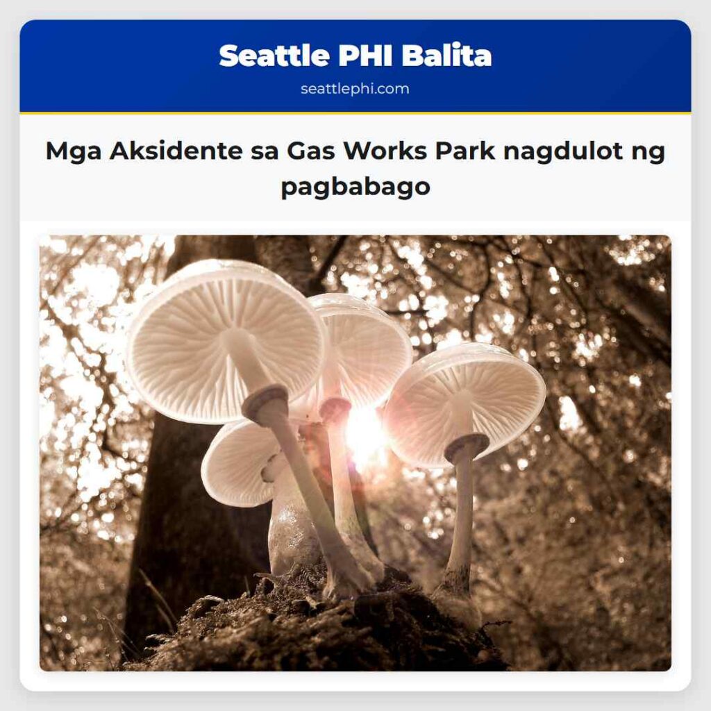 Mga Aksidente sa Gas Works Park nagdulot ng