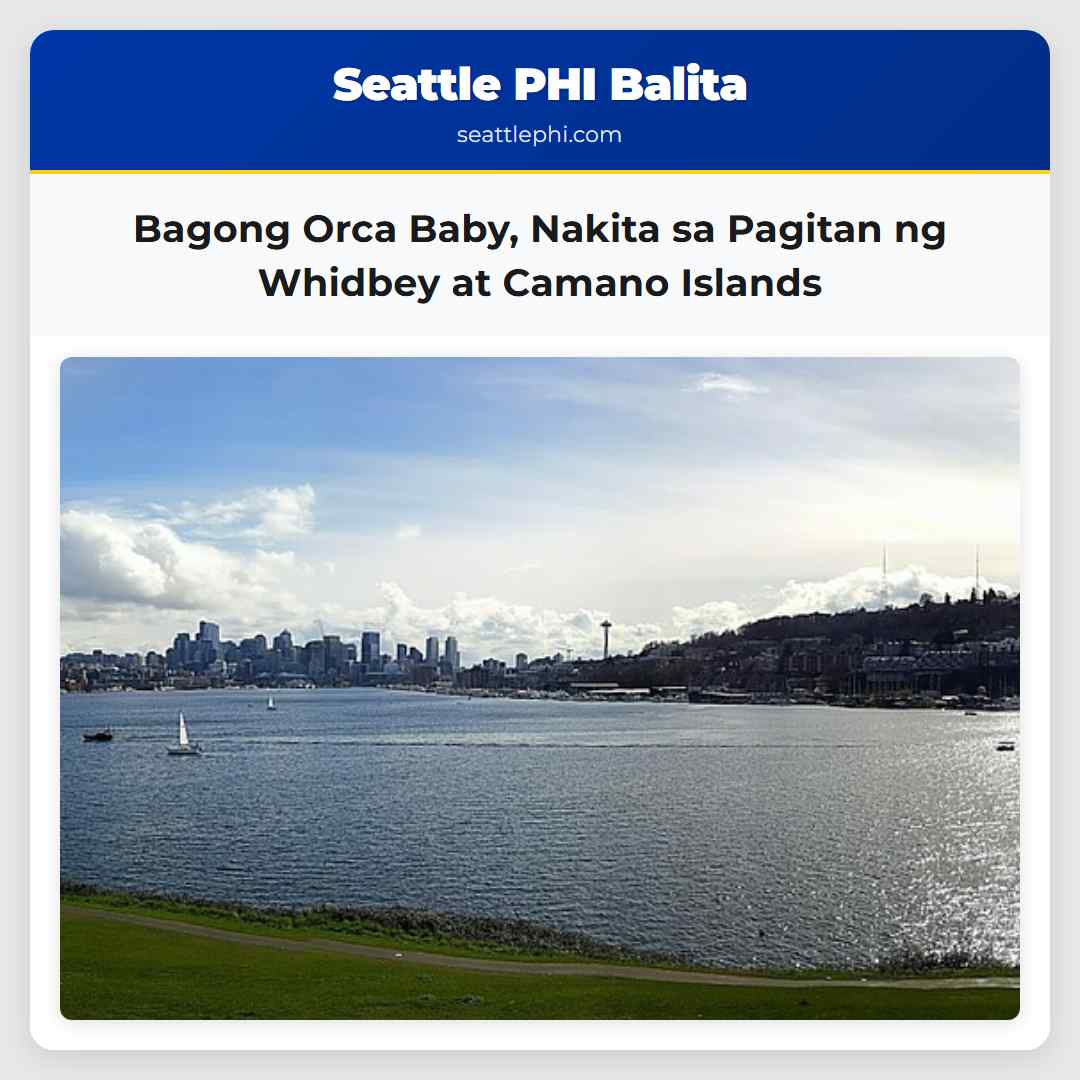 Bagong Orca Baby Nakita sa Pagitan ng Whidbey at Camano Islands