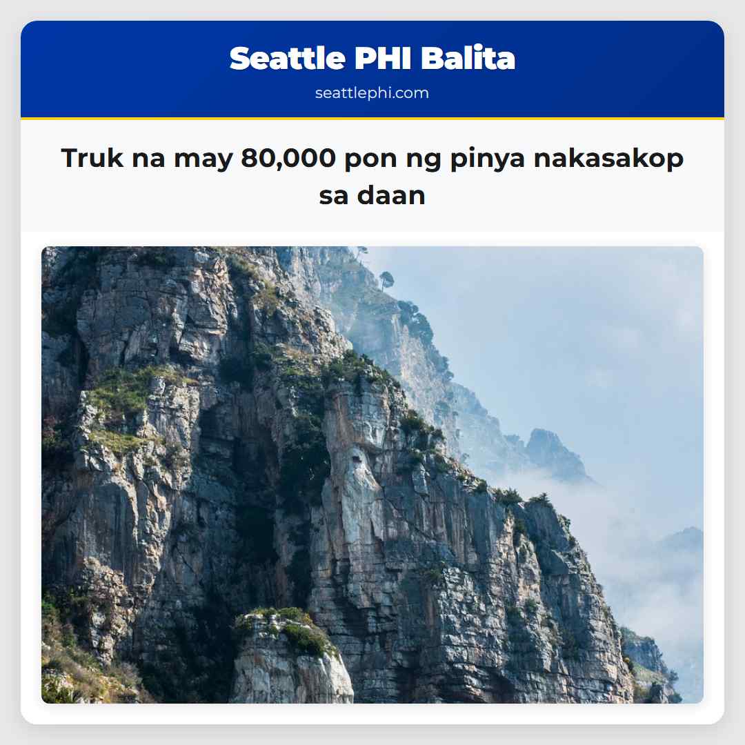Truk na may 80,000 pon ng pinya nakasakop sa daan