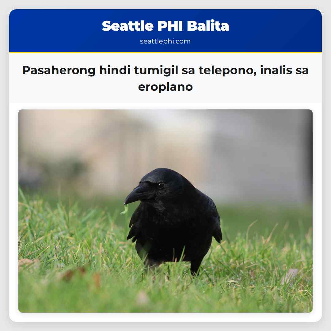 Pasaherong hindi tumigil sa telepono inalis sa eroplano