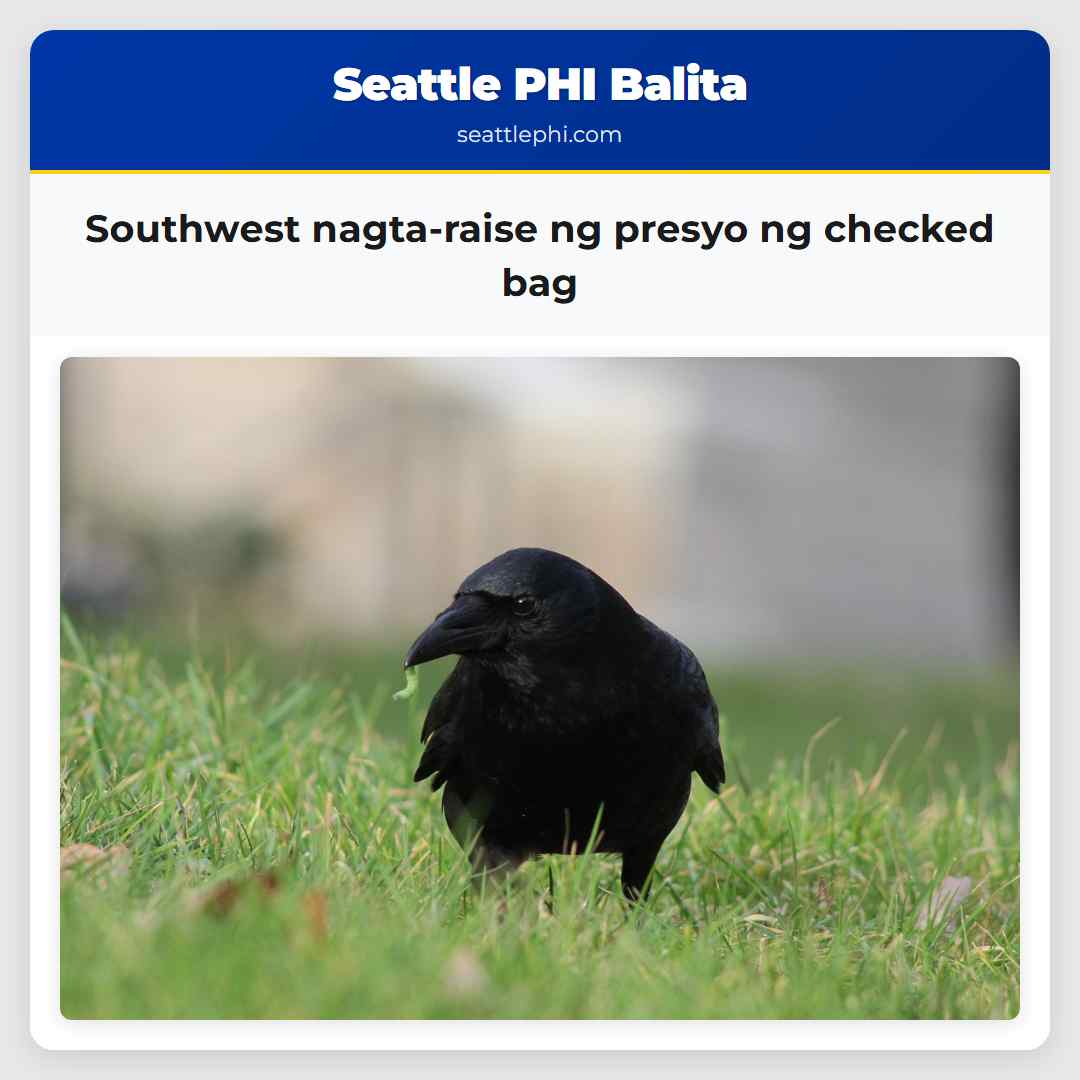 Southwest nagta-raise ng presyo ng checked bag