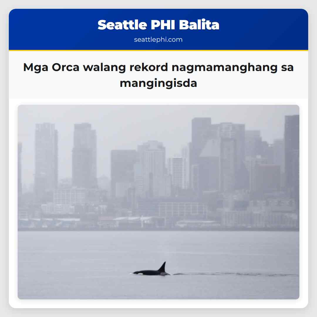 Mga Orca walang rekord nagmamanghang sa