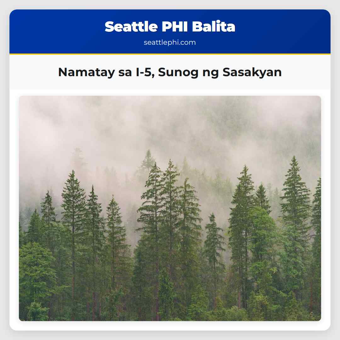 Namatay sa I-5 Sunog ng Sasakyan