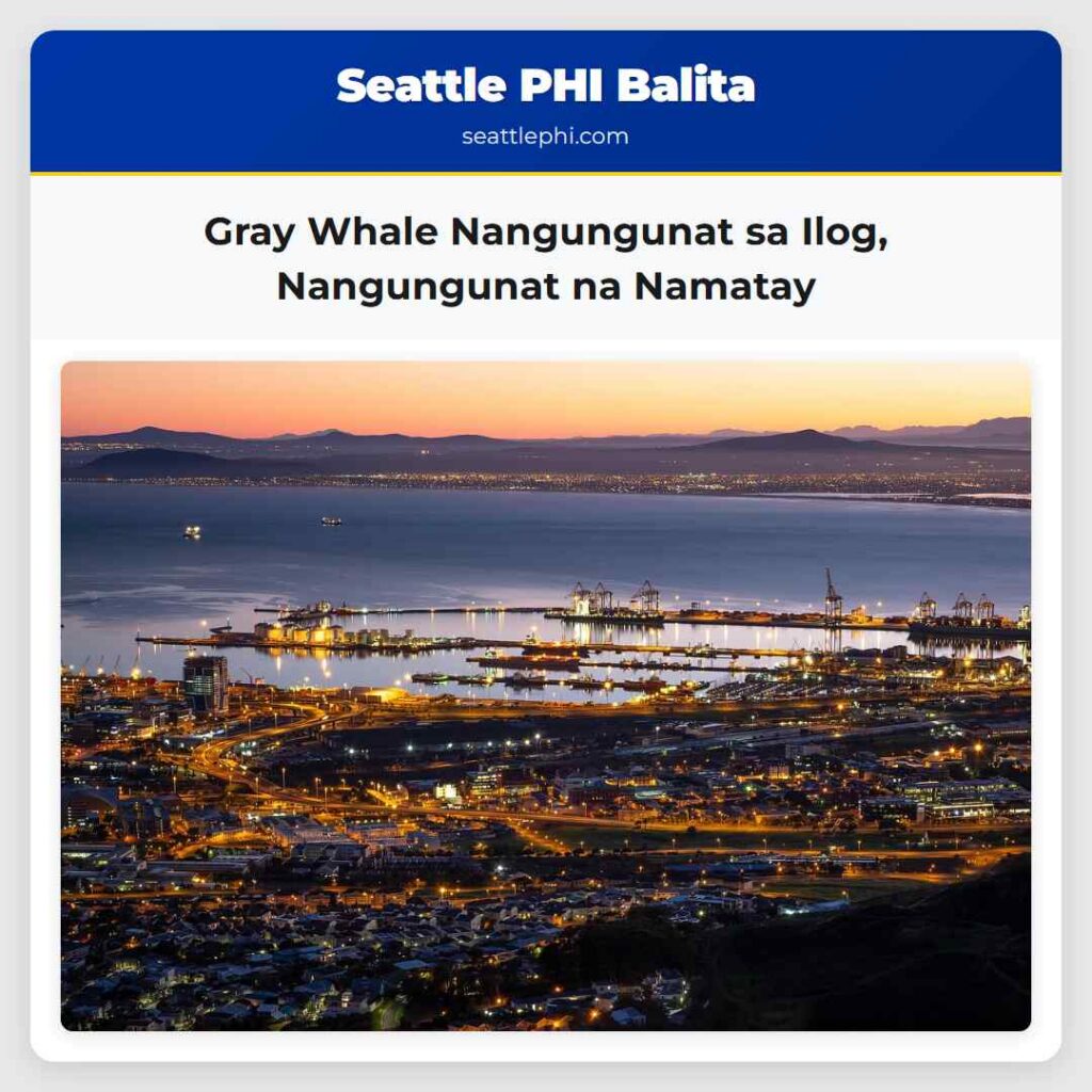 Gray Whale Nangungunat sa Ilog, Nangungunat na