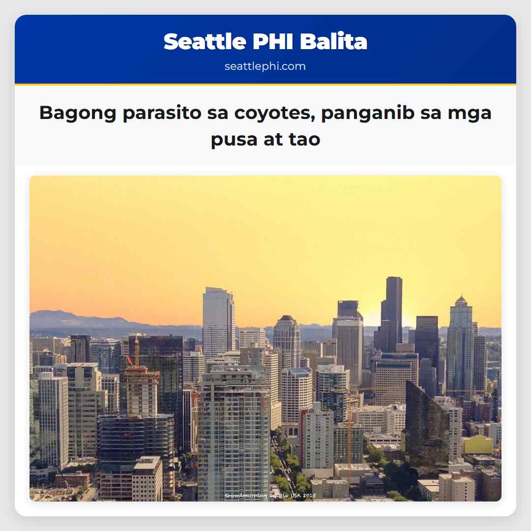 Bagong parasito sa coyotes, panganib sa mga pusa