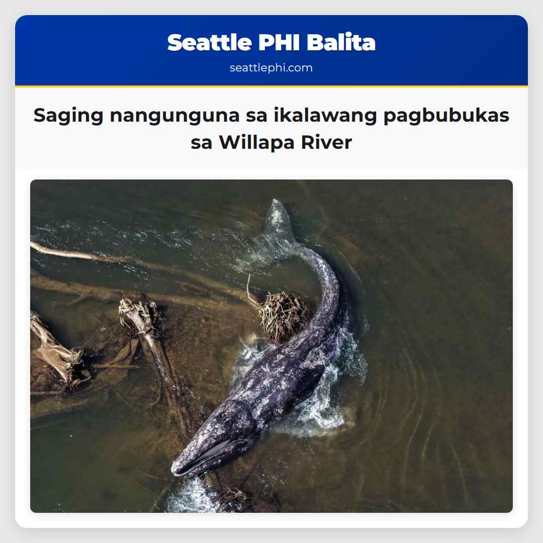 Saging nangunguna sa ikalawang pagbubukas sa