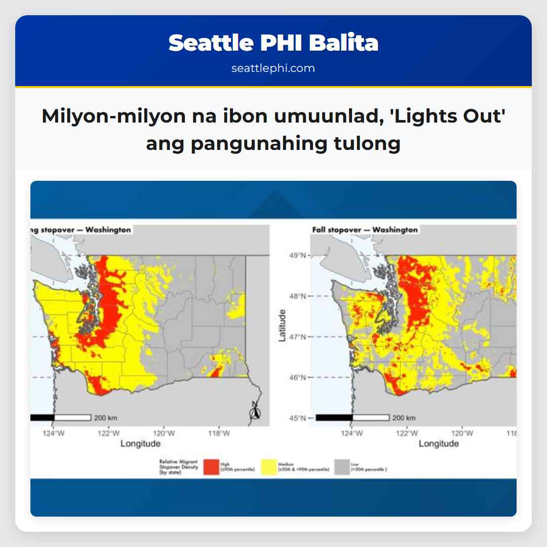 Milyon-milyon na ibon umuunlad Lights Out ang pangunahing tulong