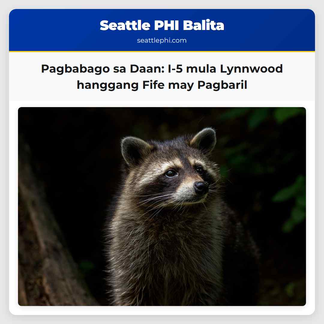 Pagbabago sa Daan: I-5 mula Lynnwood hanggang