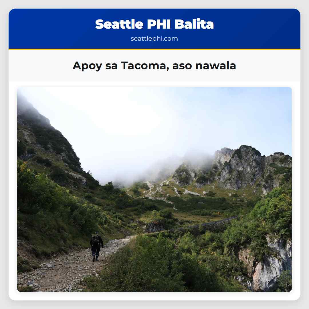 Apoy sa Tacoma, aso nawala