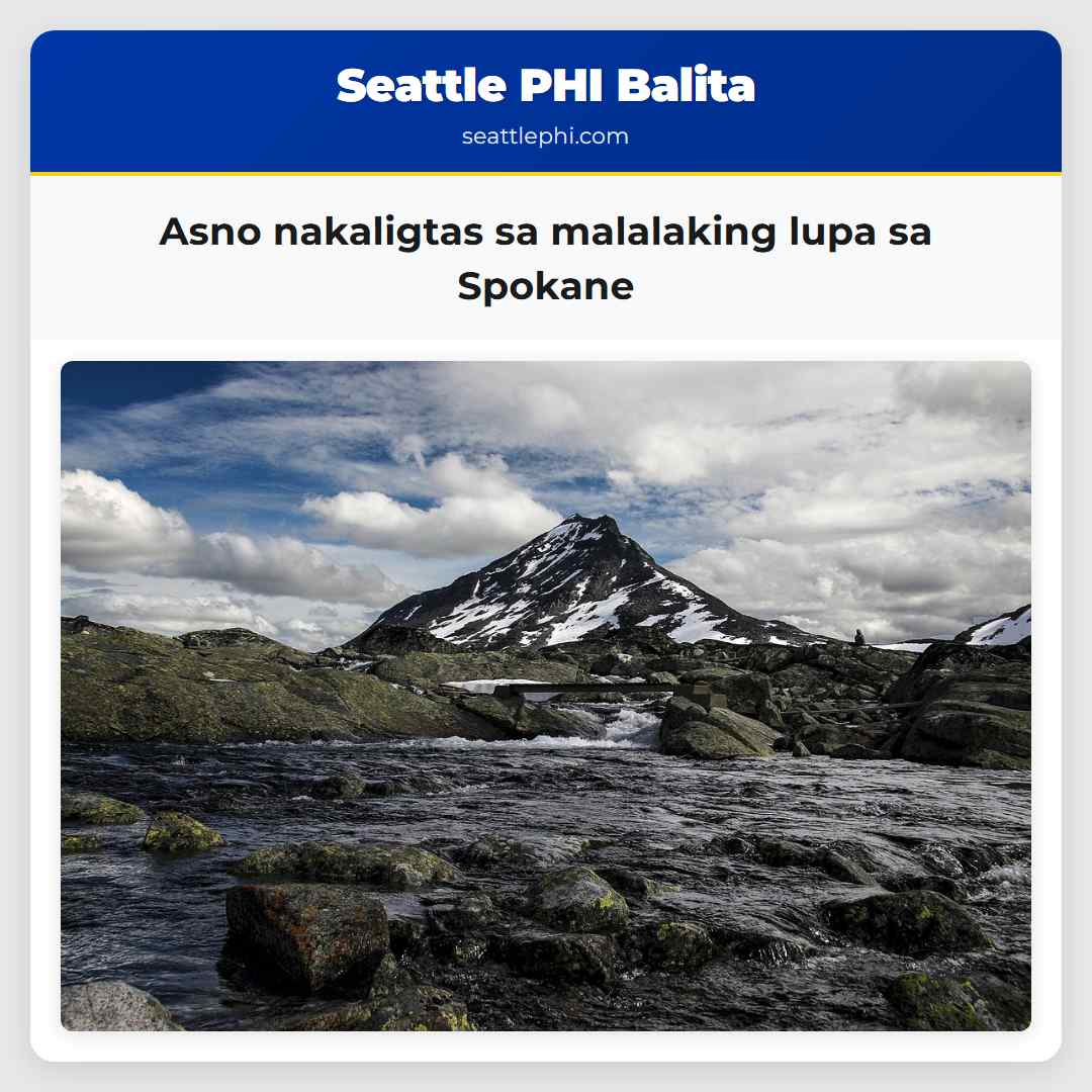 Asno nakaligtas sa malalaking lupa sa Spokane
