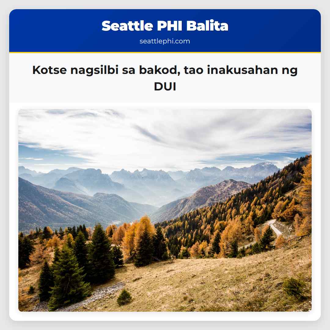 Kotse nagsilbi sa bakod, tao inakusahan ng DUI