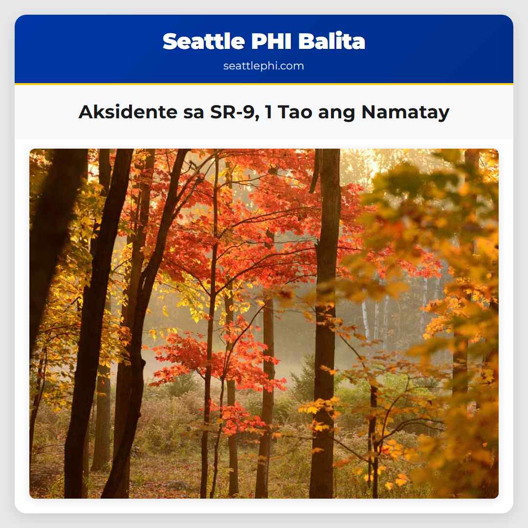 Aksidente sa SR-9 1 Tao ang Namatay