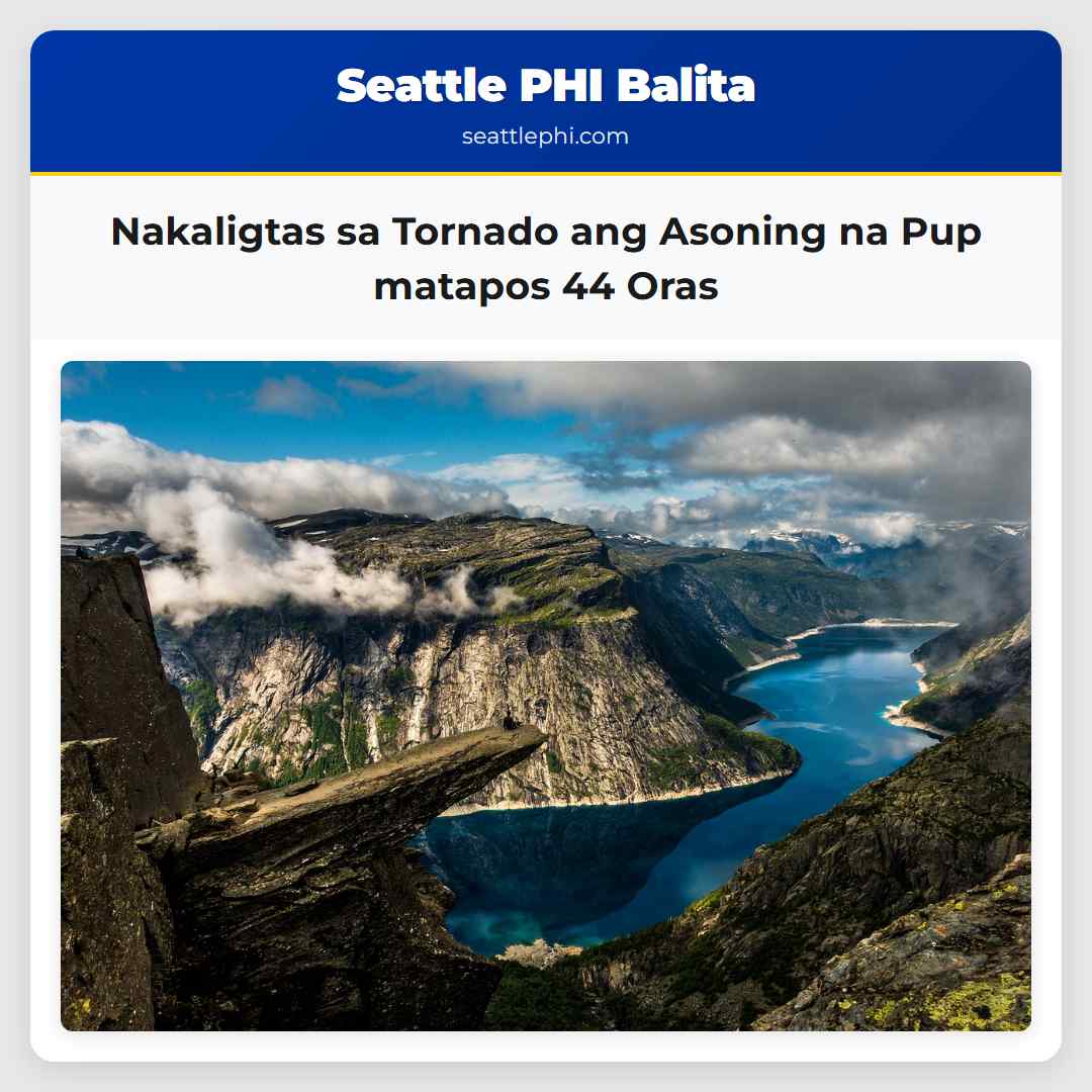 Nakaligtas sa Tornado ang Asoning na Pup matapos