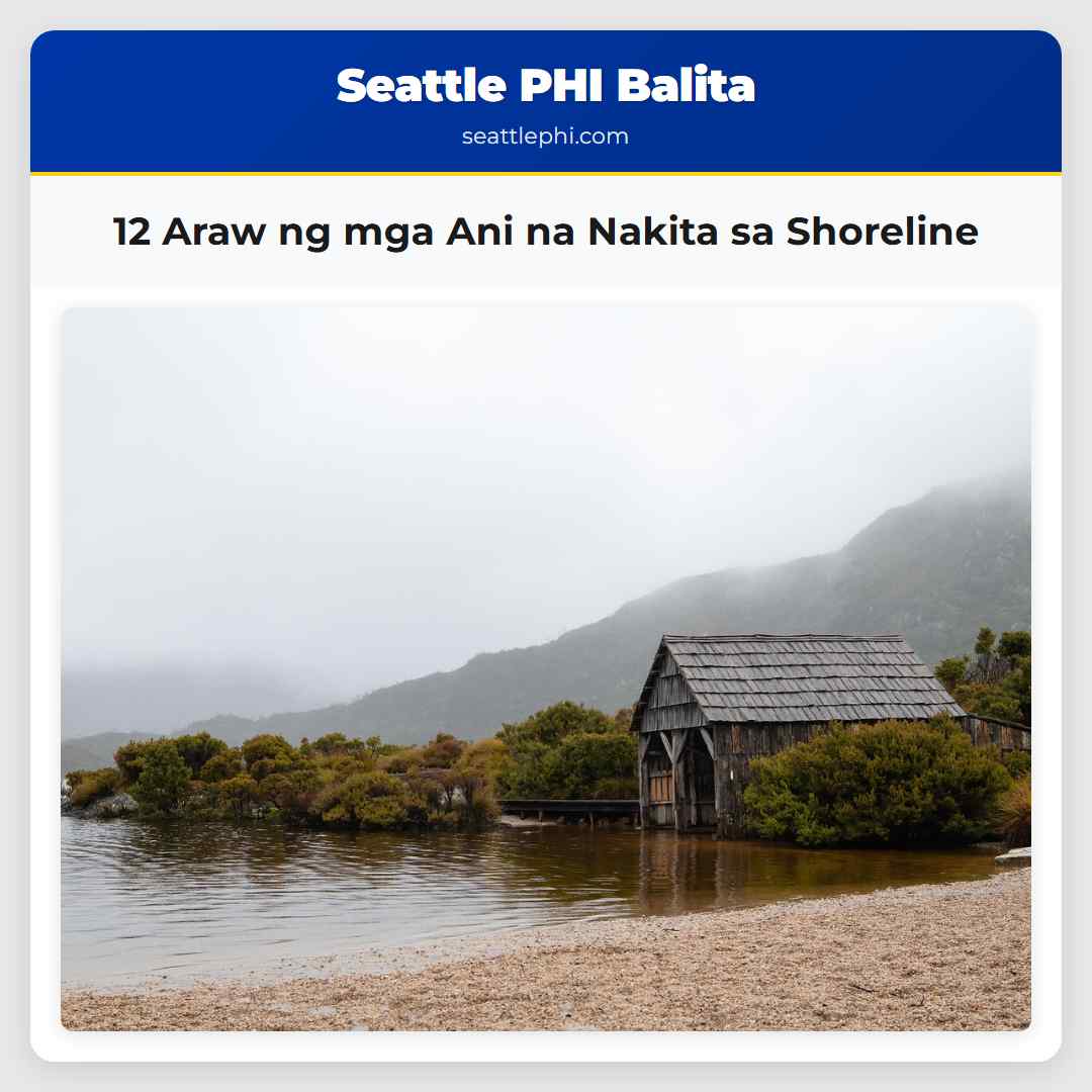 12 Araw ng mga Ani na Nakita sa Shoreline
