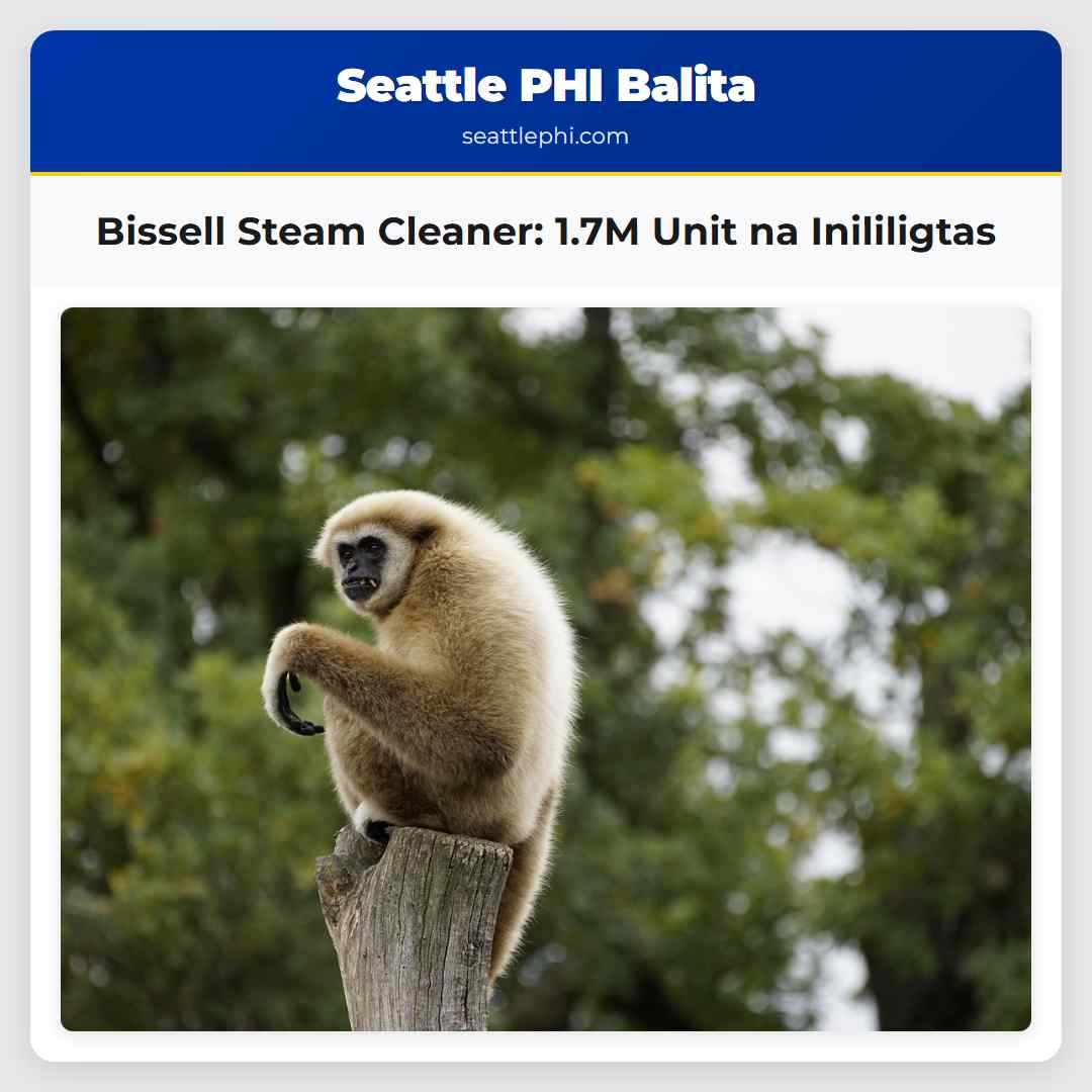 Bissell Steam Cleaner: 1.7M Unit na Inililigtas
