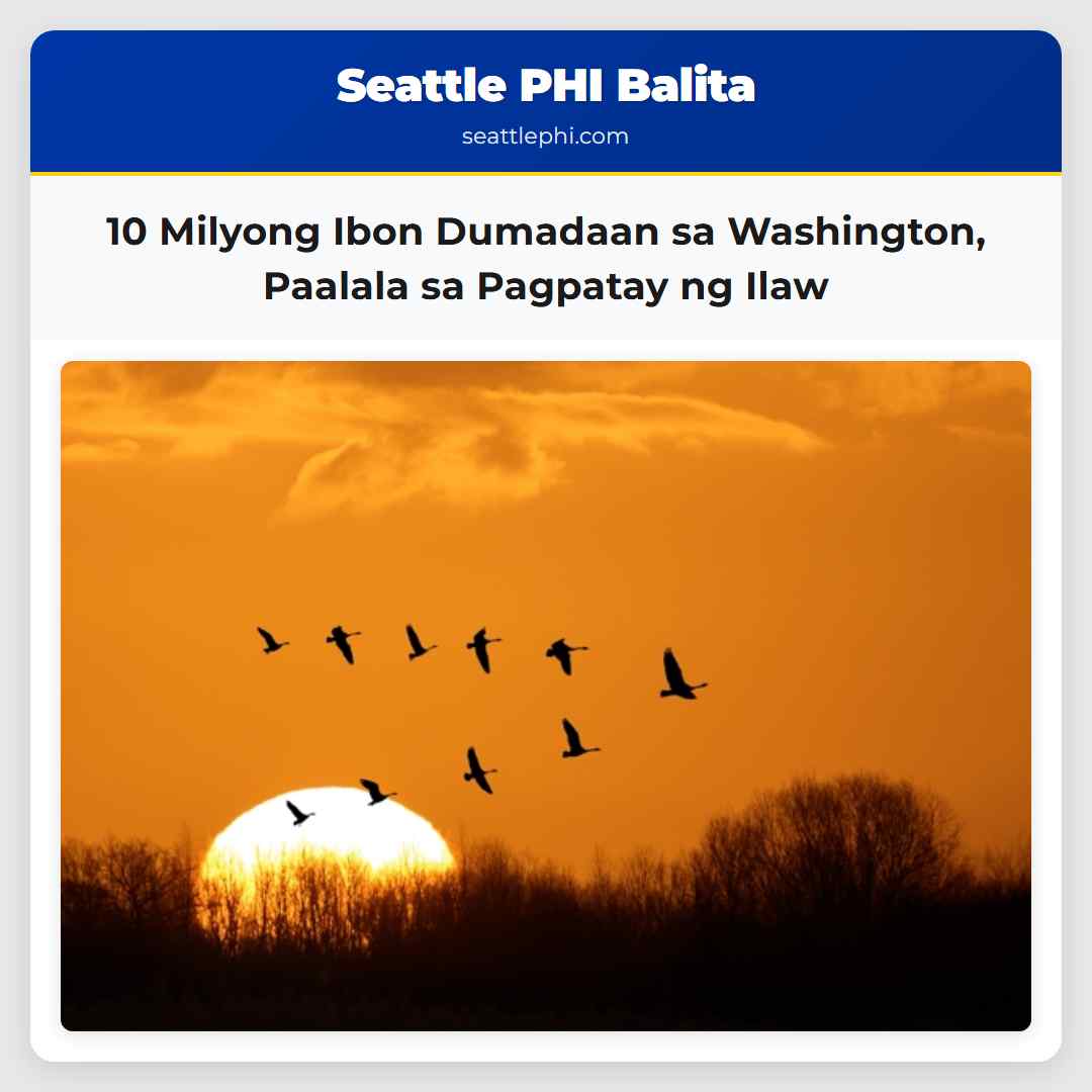 10 Milyong Ibon Dumadaan sa Washington, Paalala