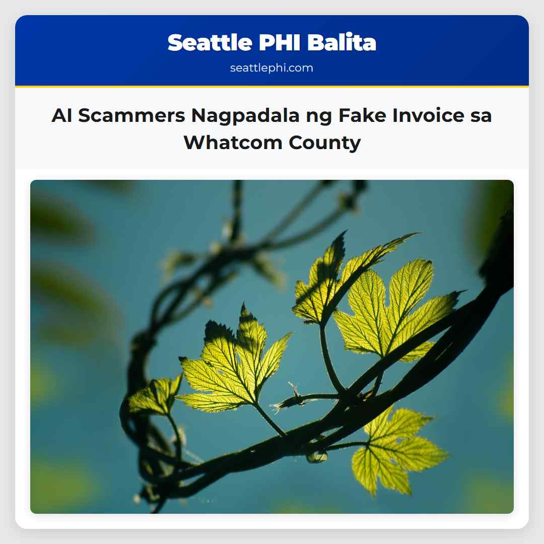 AI Scammers Nagpadala ng Fake Invoice sa Whatcom
