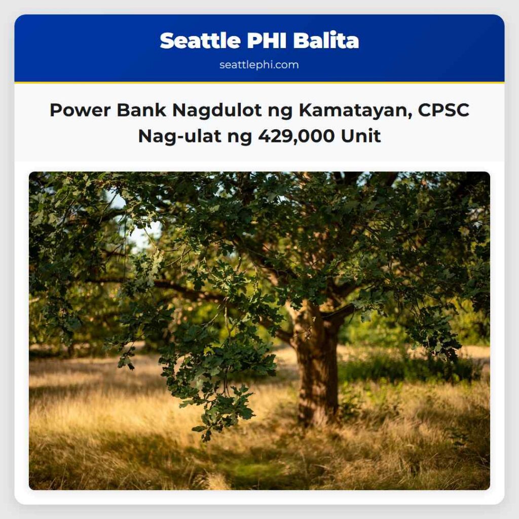 Power Bank Nagdulot ng Kamatayan, CPSC Nag-ulat