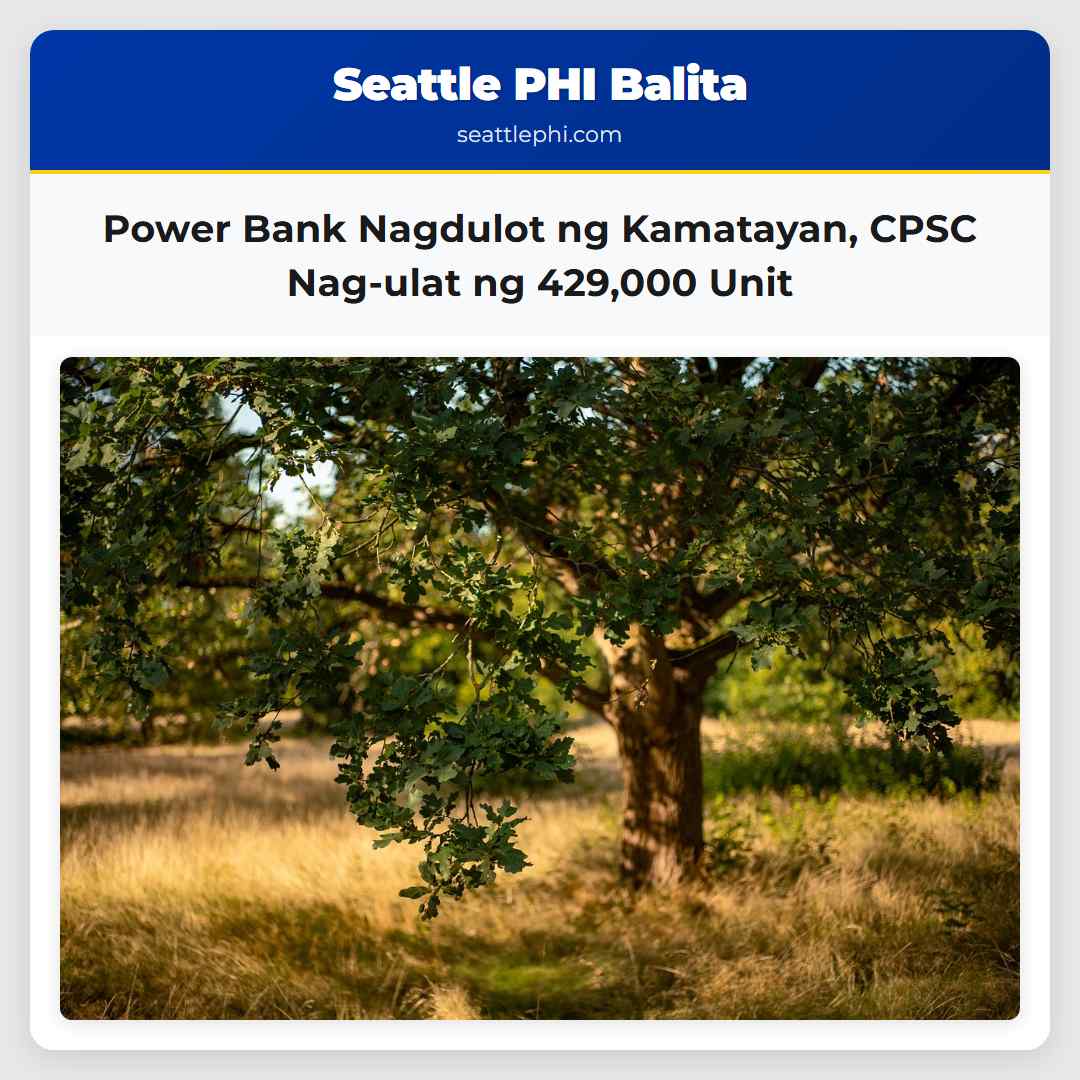 Power Bank Nagdulot ng Kamatayan CPSC Nag-ulat ng 429000 Unit