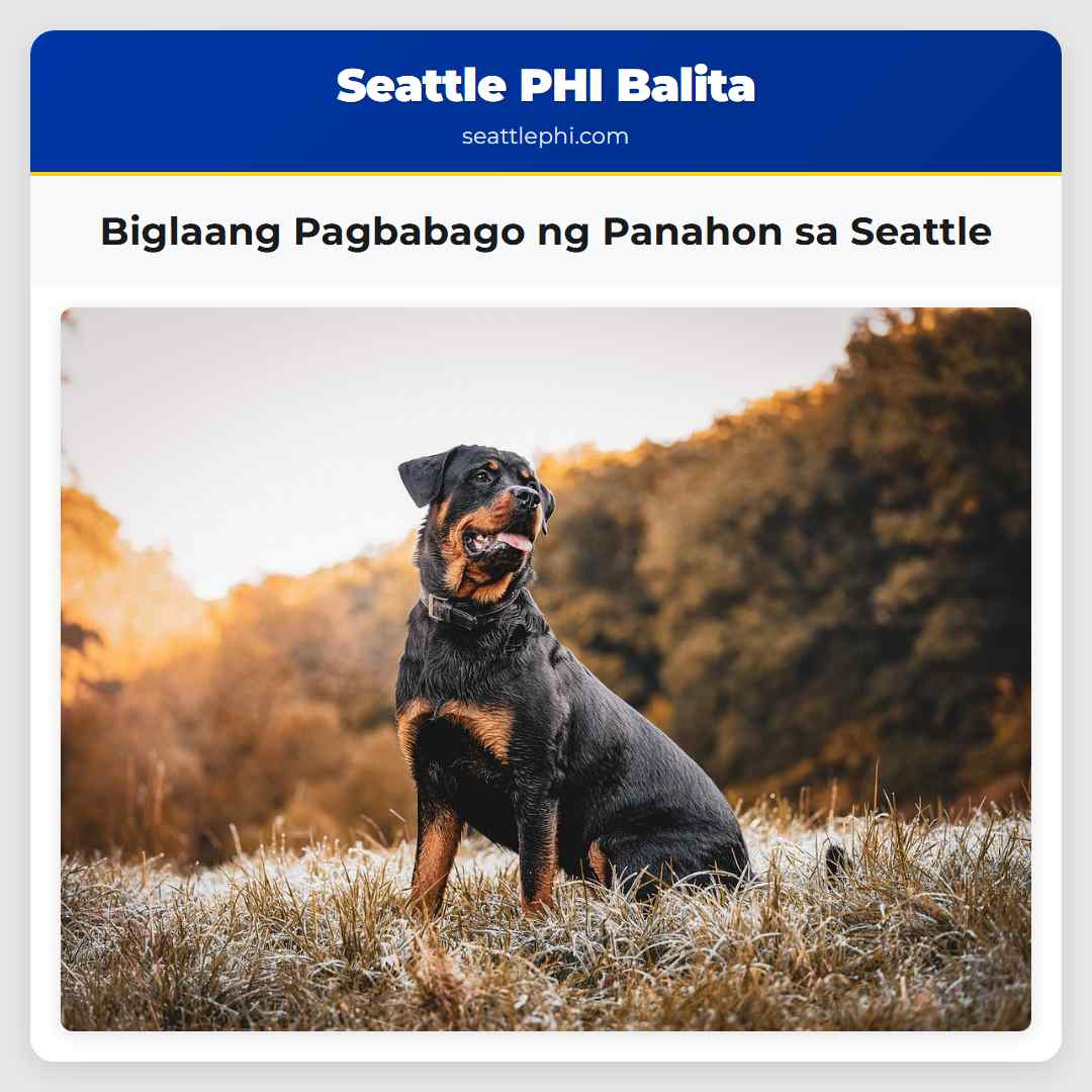 Biglaang Pagbabago ng Panahon sa Seattle