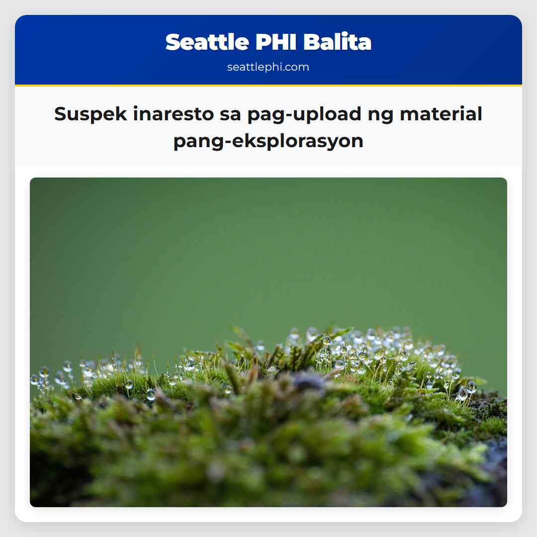 Suspek inaresto sa pag-upload ng material