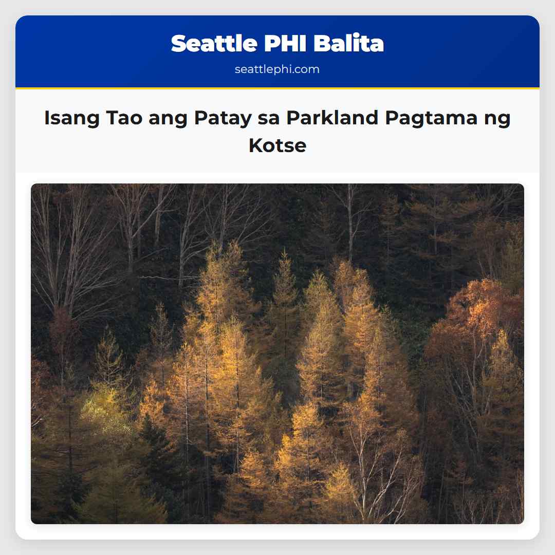 Isang Tao ang Patay sa Parkland Pagtama ng Kotse