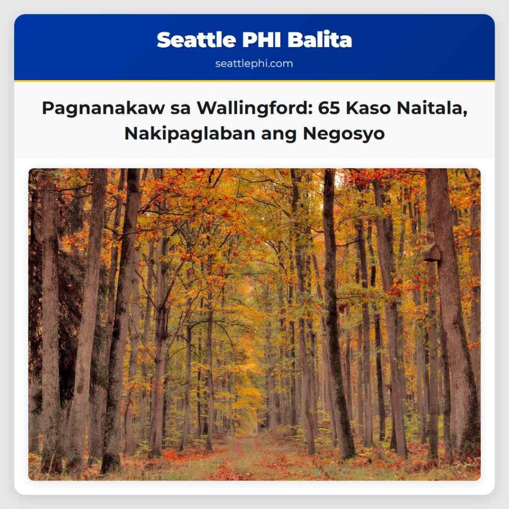Pagnanakaw sa Wallingford: 65 Kaso Naitala,