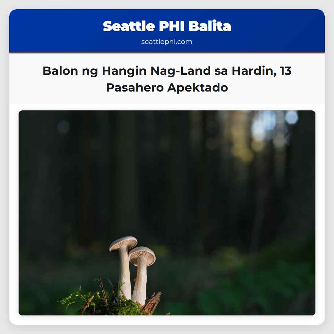 Balon ng Hangin Nag-Land sa Hardin 13 Pasahero Apektado