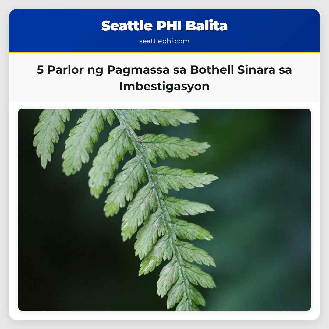 5 Parlor ng Pagmassa sa Bothell Sinara sa Imbestigasyon