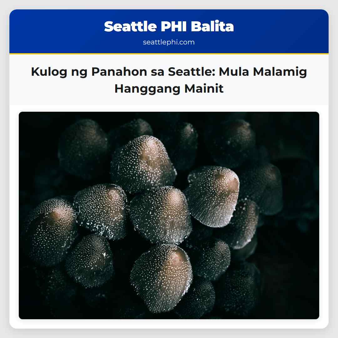 Kulog ng Panahon sa Seattle Mula Malamig Hanggang Mainit