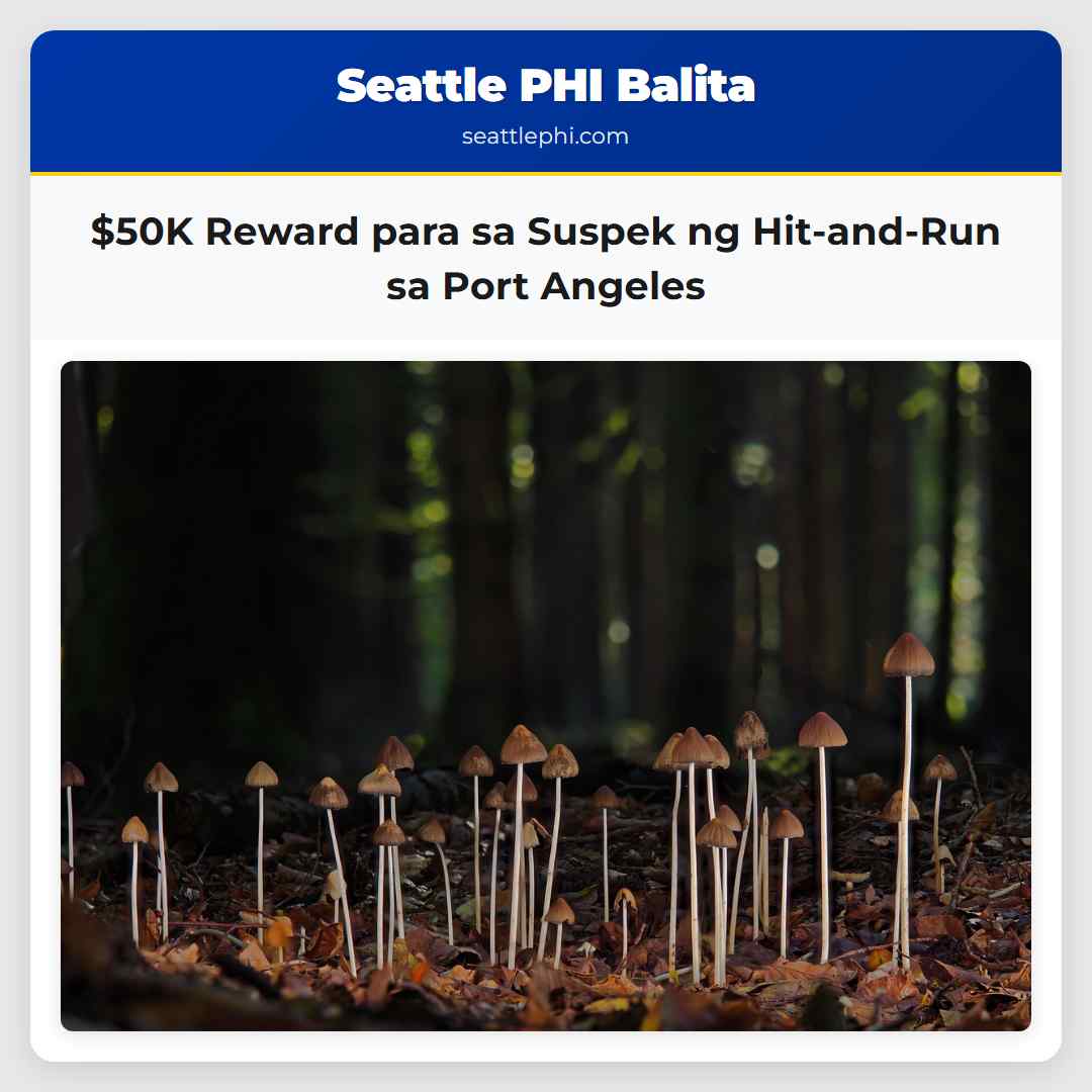 $50K Reward para sa Suspek ng Hit-and-Run sa Port Angeles