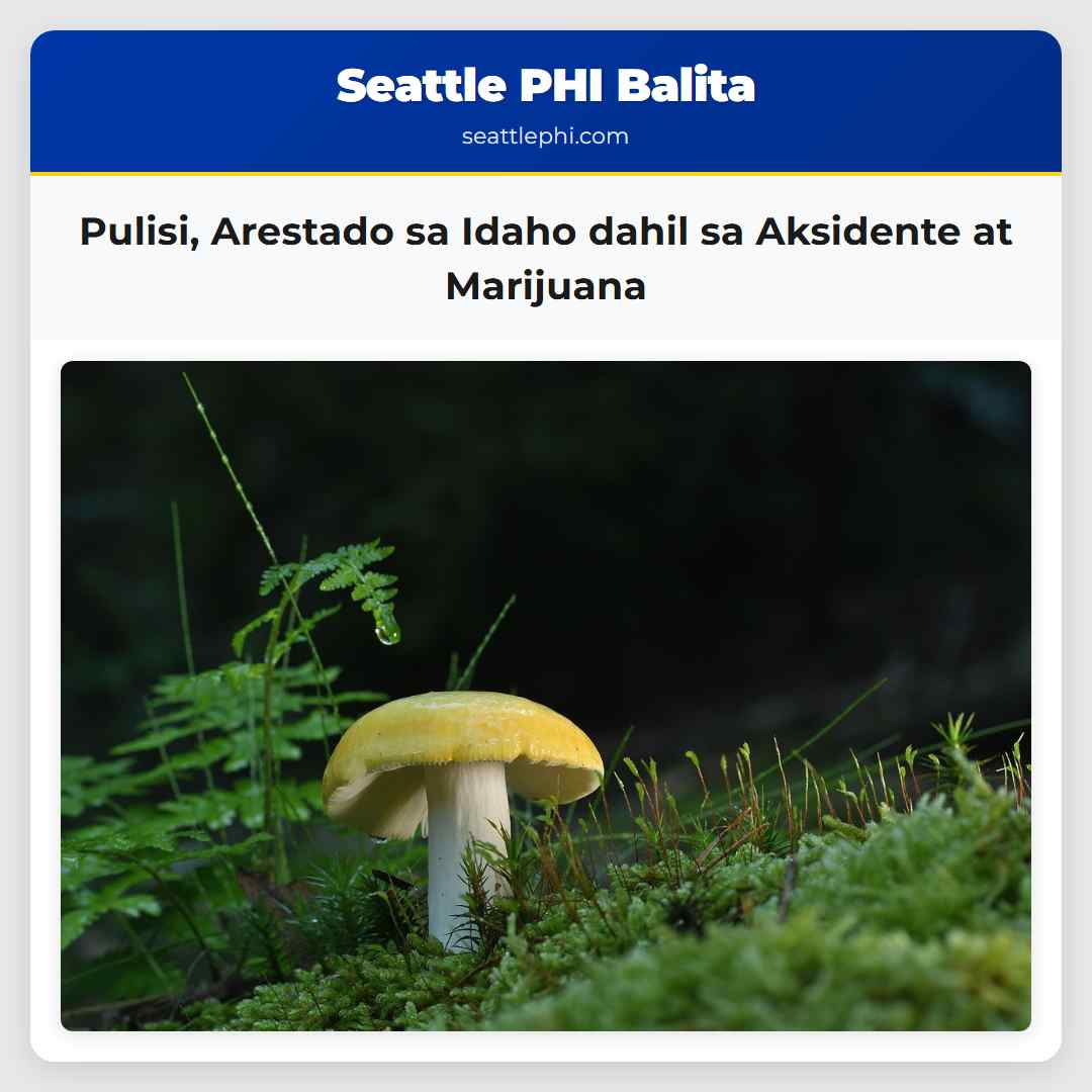 Pulisi Arestado sa Idaho dahil sa Aksidente at Marijuana