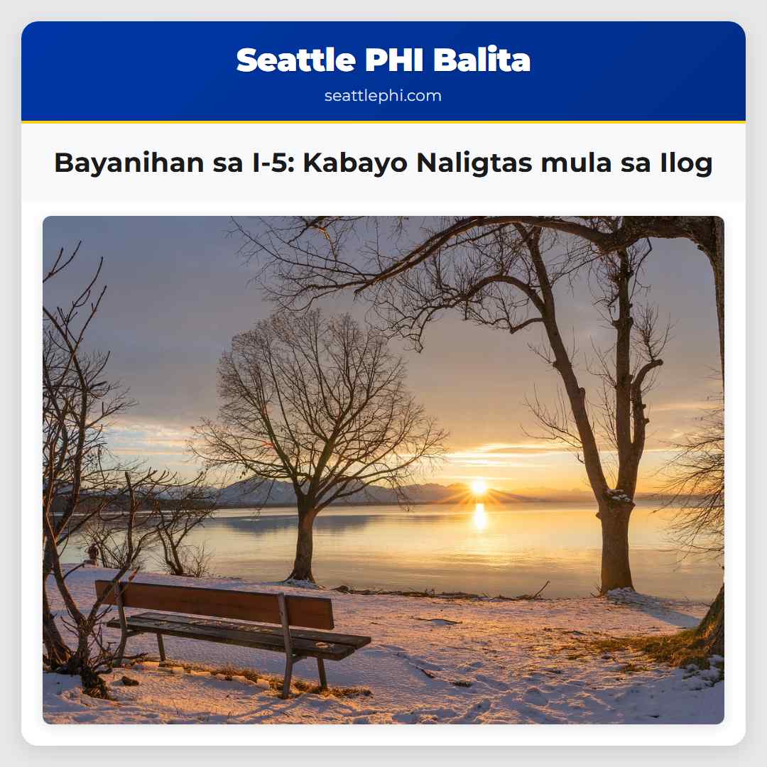Bayanihan sa I-5 Kabayo Naligtas mula sa Ilog
