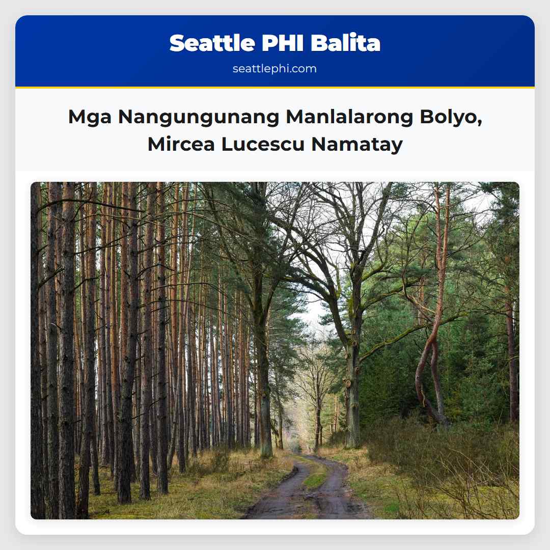 Mga Nangungunang Manlalarong Bolyo, Mircea