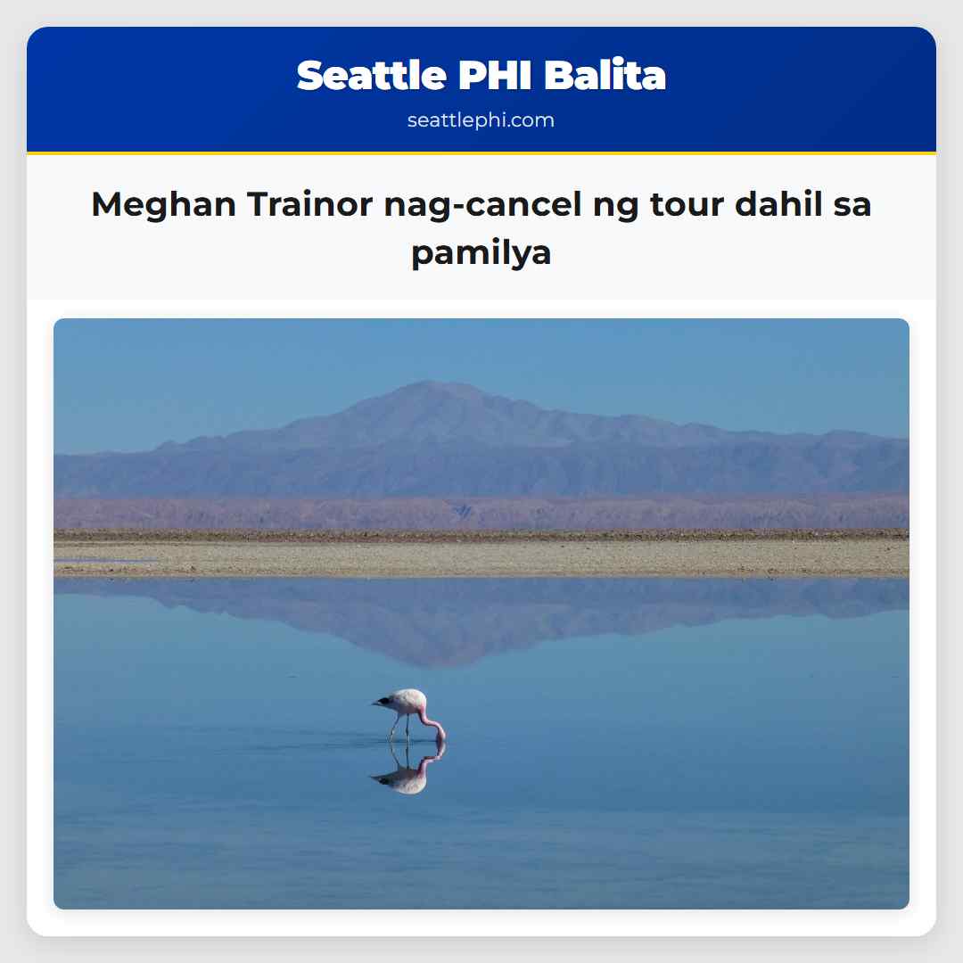 Meghan Trainor nag-cancel ng tour dahil sa pamilya