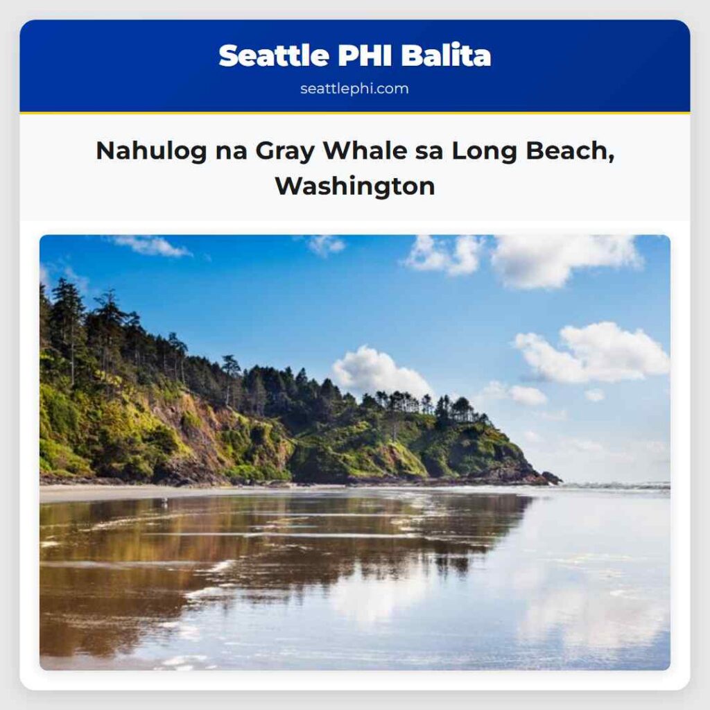 Nahulog na Gray Whale sa Long Beach, Washington