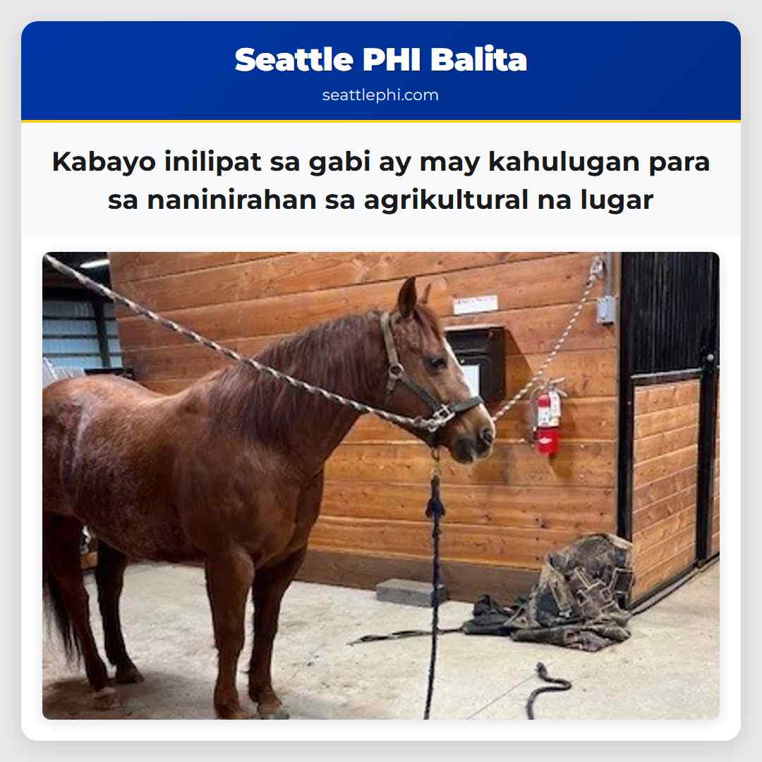 Kabayo inilipat sa gabi ay may kahulugan para sa