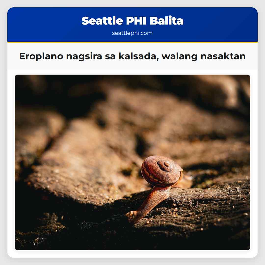 Eroplano nagsira sa kalsada, walang nasaktan