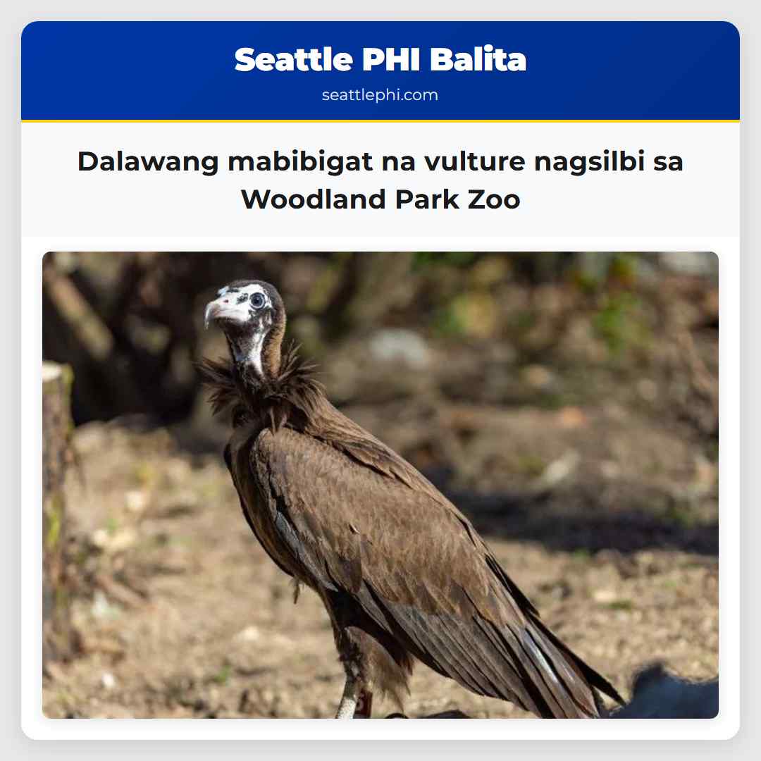 Dalawang mabibigat na vulture nagsilbi sa Woodland Park Zoo