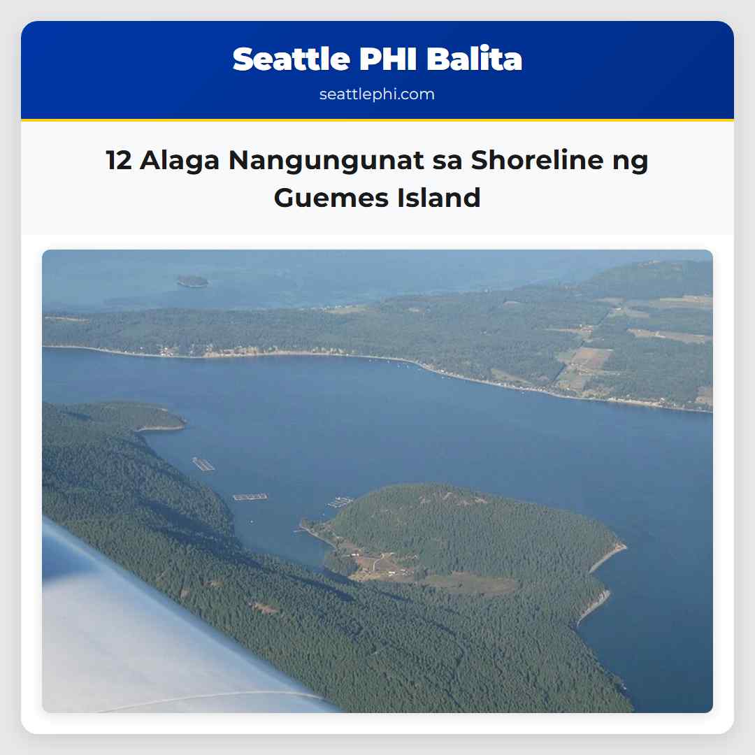 12 Alaga Nangungunat sa Shoreline ng Guemes Island