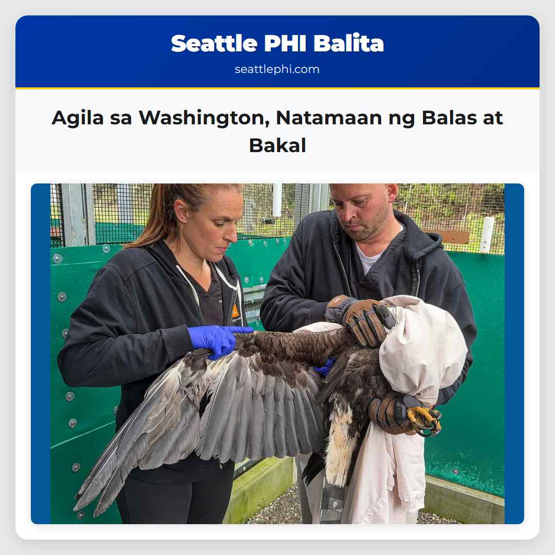 Agila sa Washington Natamaan ng Balas at Bakal
