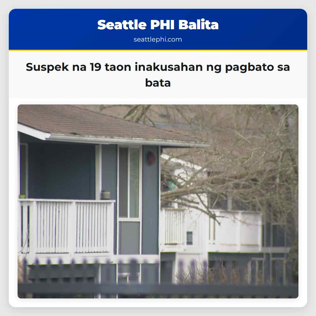 Suspek na 19 taon inakusahan ng pagbato sa bata