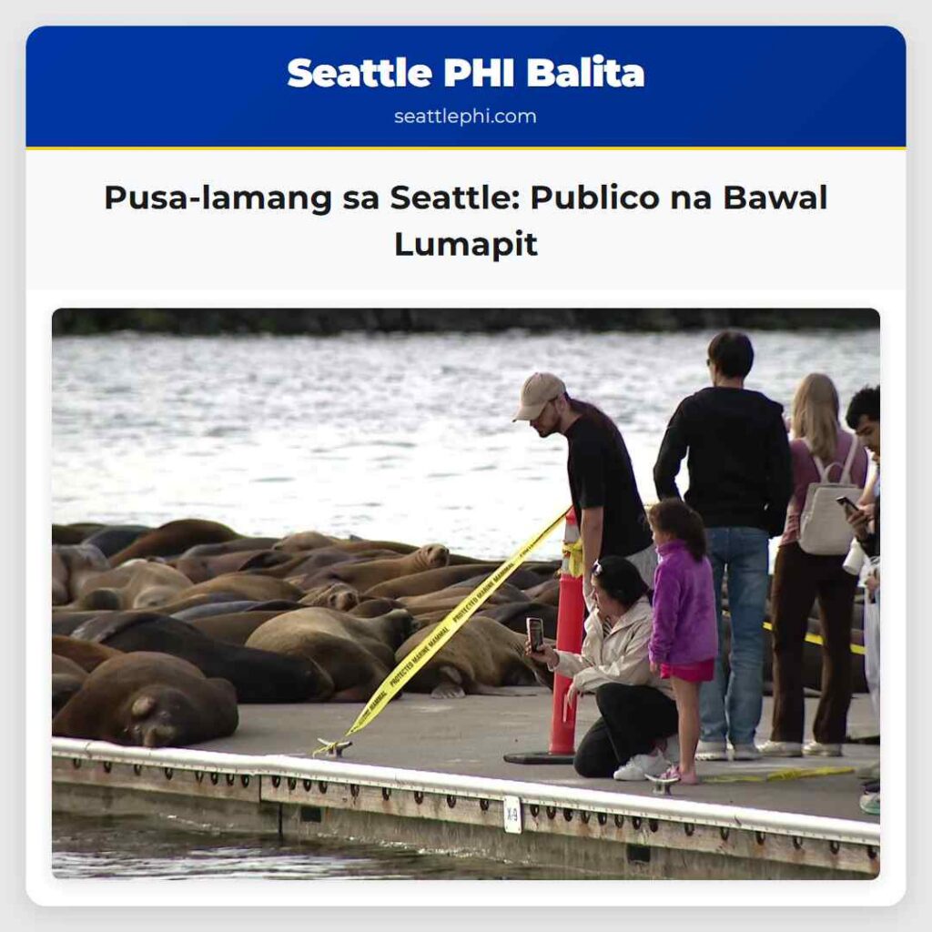 Pusa-lamang sa Seattle: Publico na Bawal Lumapit