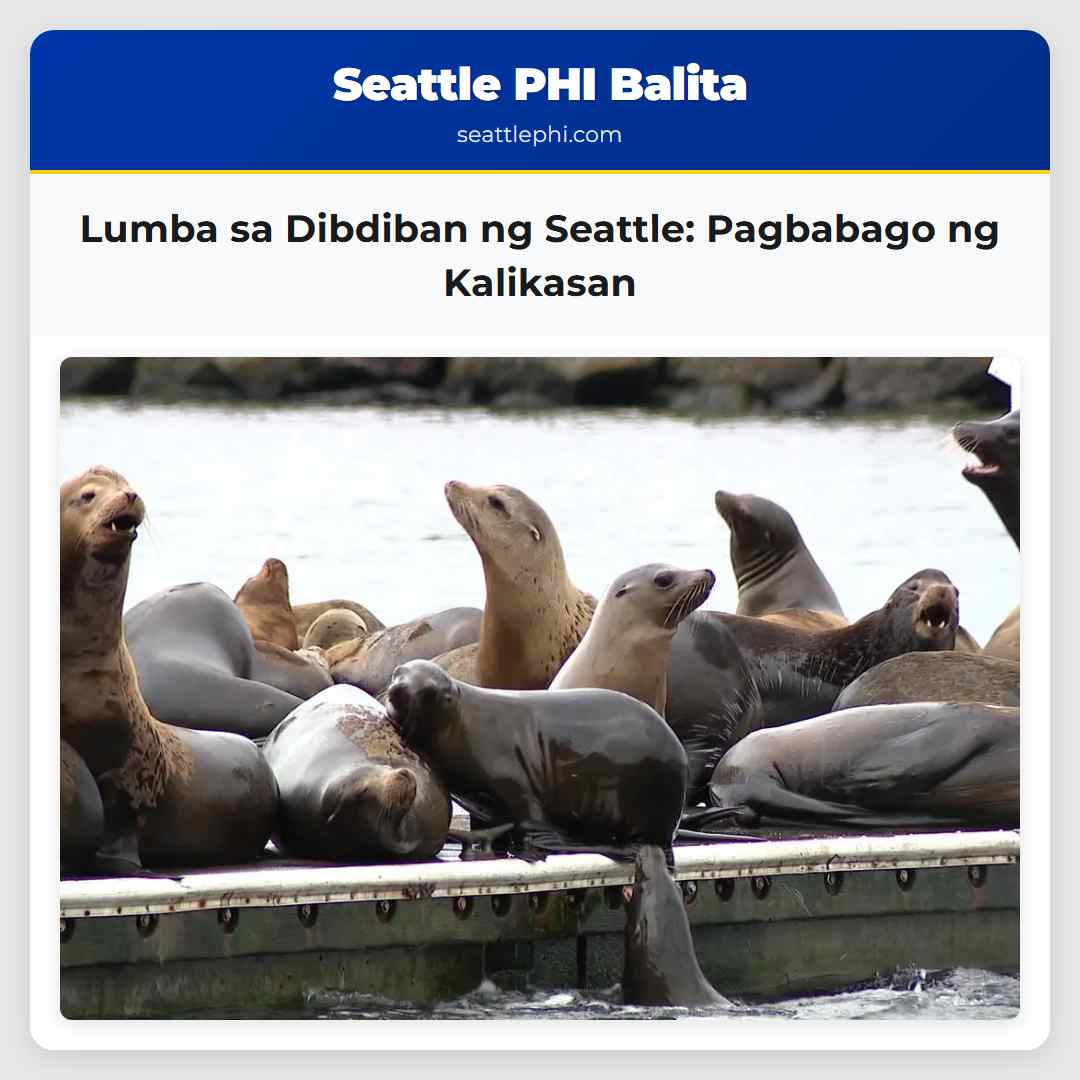 Lumba sa Dibdiban ng Seattle Pagbabago ng Kalikasan