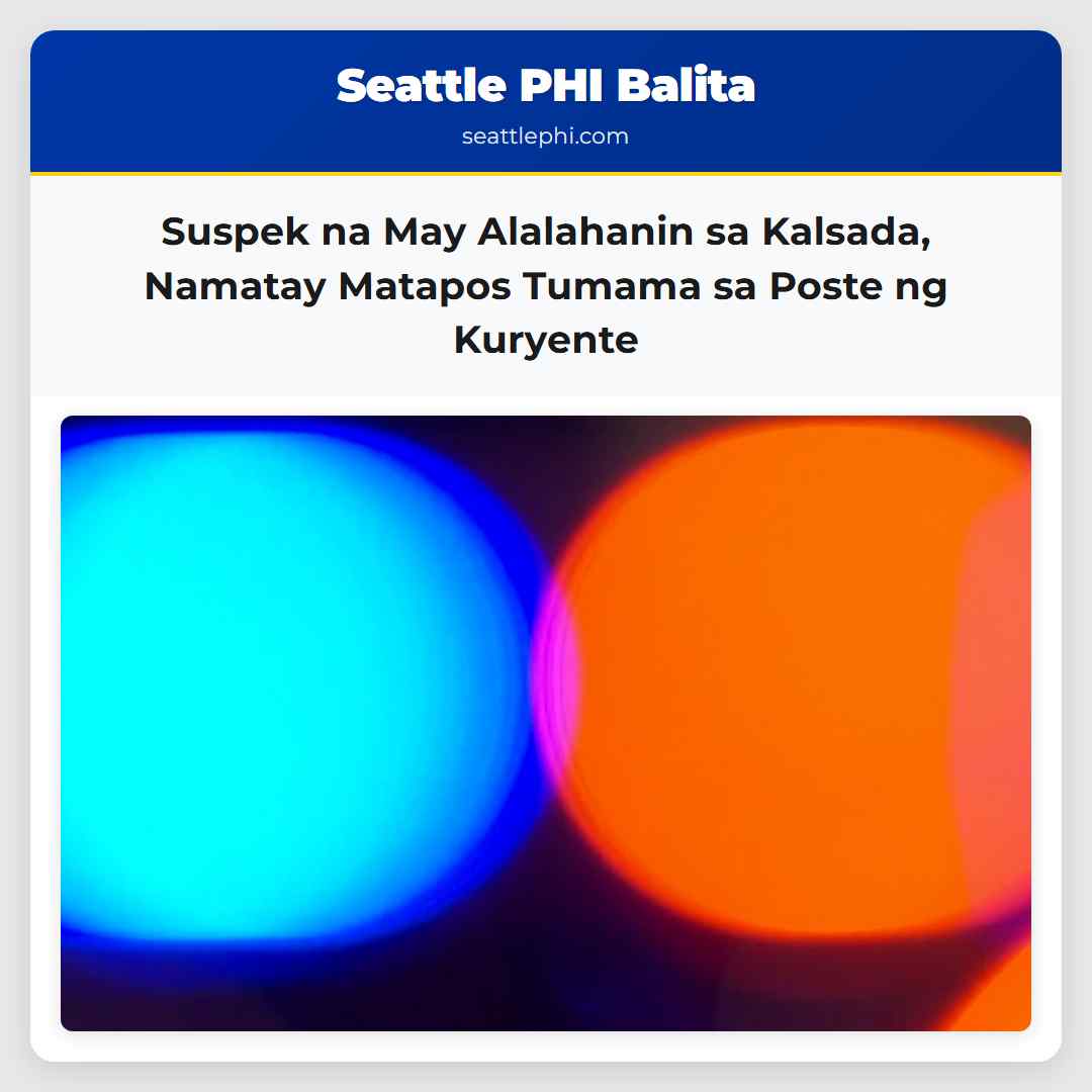 Suspek na May Alalahanin sa Kalsada Namatay Matapos Tumama sa Poste ng Kuryente