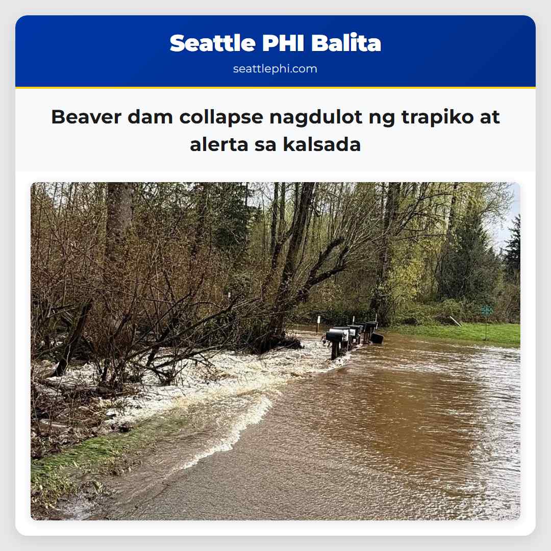 Beaver dam collapse nagdulot ng trapiko at alerta